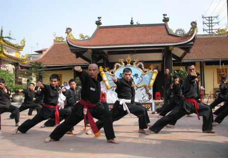Традиционные боевые искусства Вьетнама