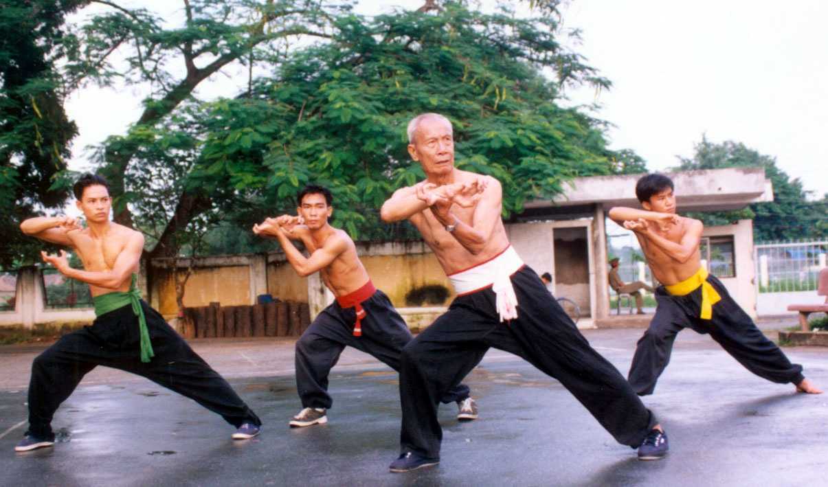 Традиционные боевые искусства Вьетнама